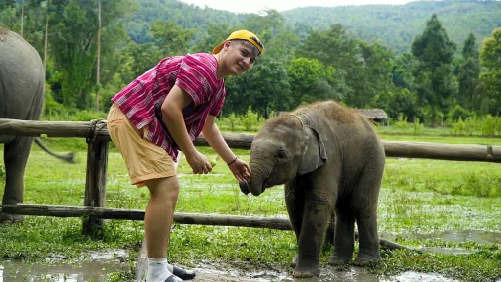 Experience the joy of feeding baby elephants on our Chiangmai tour, a heartwarming Chiangmai excursion for all ages
