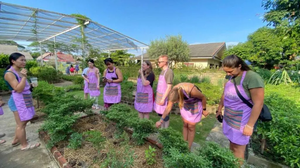 Group learning about local herbs in a garden during a Chiang Mai tour.