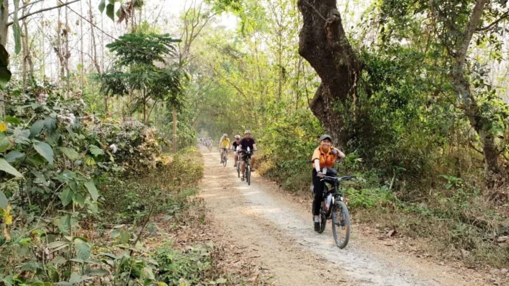 Tourists enjoying a cycling adventure on a Chiang Mai tour, pedaling through quiet rural roads and breathtaking scenery.