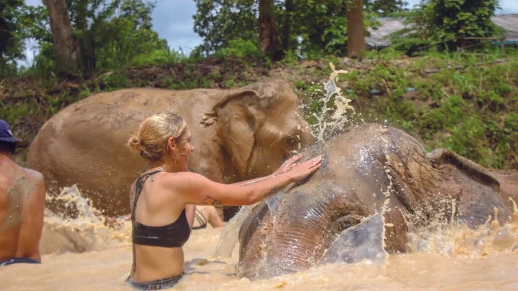 Maerim Elephant Sanctuary Tour in Chingmai