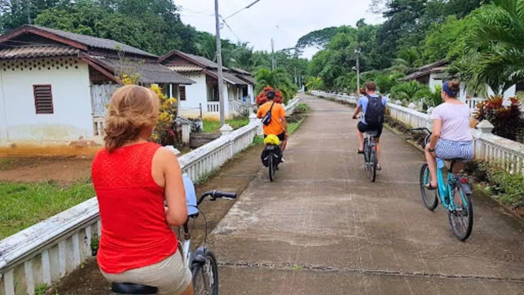 Bicycle Rent Chiang Mai – Cycle Through Peaceful Countryside Roads and Local Villages