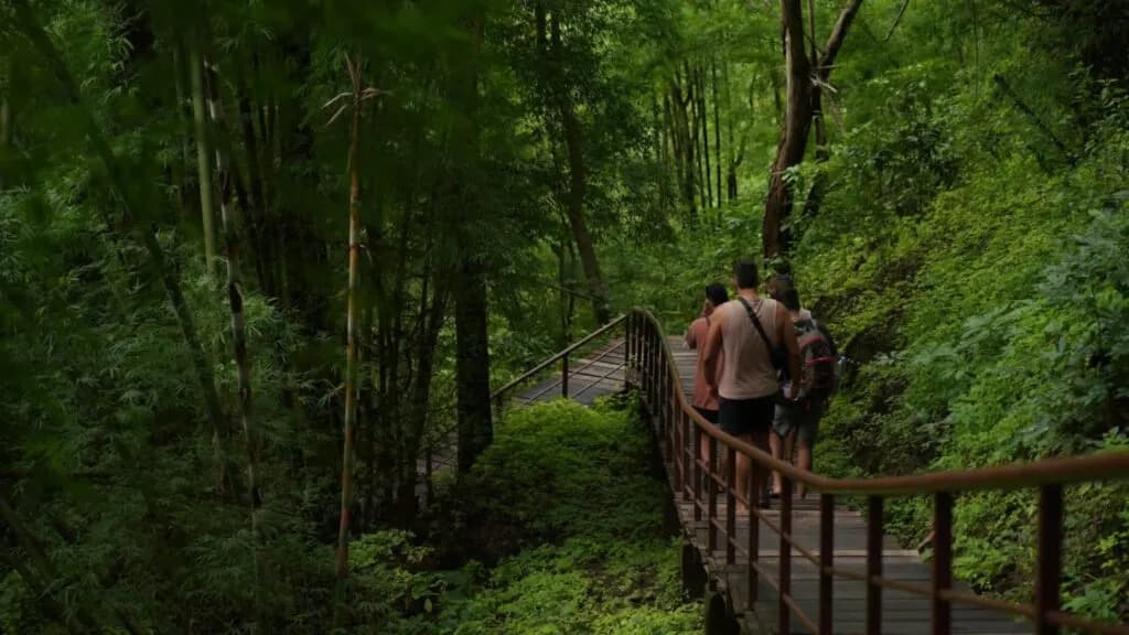 Nature trail leading to Sticky Waterfall in Chiang Mai
