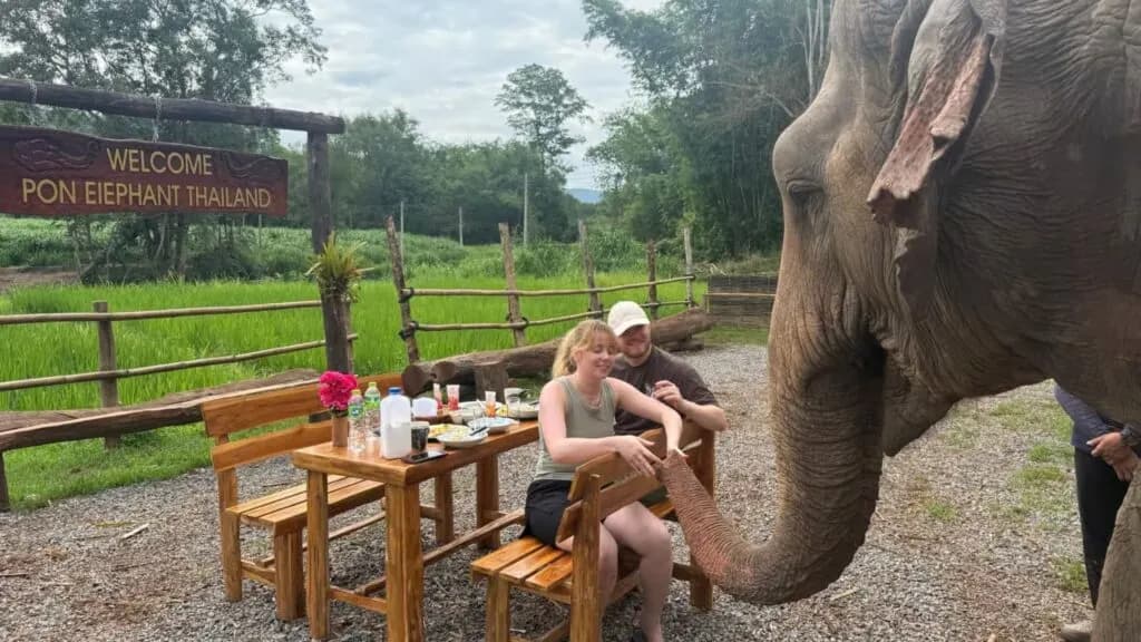 Couple having breakfast with an elephant at Pon Elephant Sanctuary Chiang Mai tour