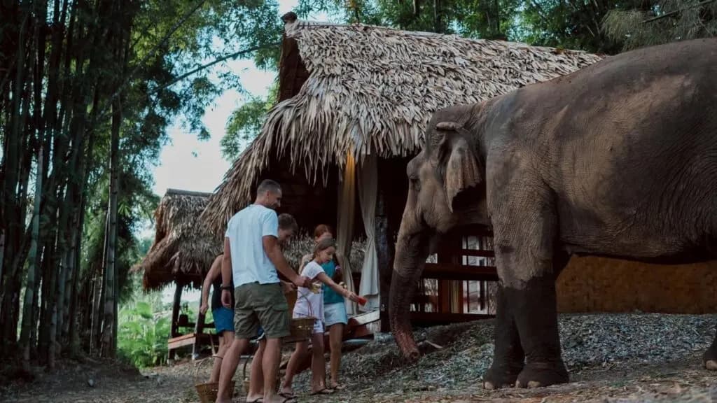 2-Day Ethical Elephant Sanctuary & Overnight Homestay Tour in Chiang Mai photo 2