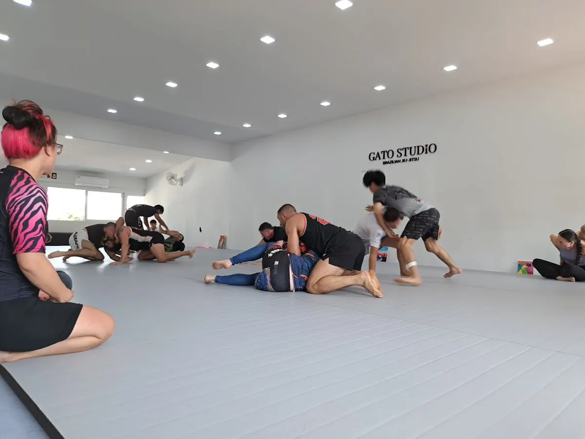 Gato Studio BJJ in Chiang Mai