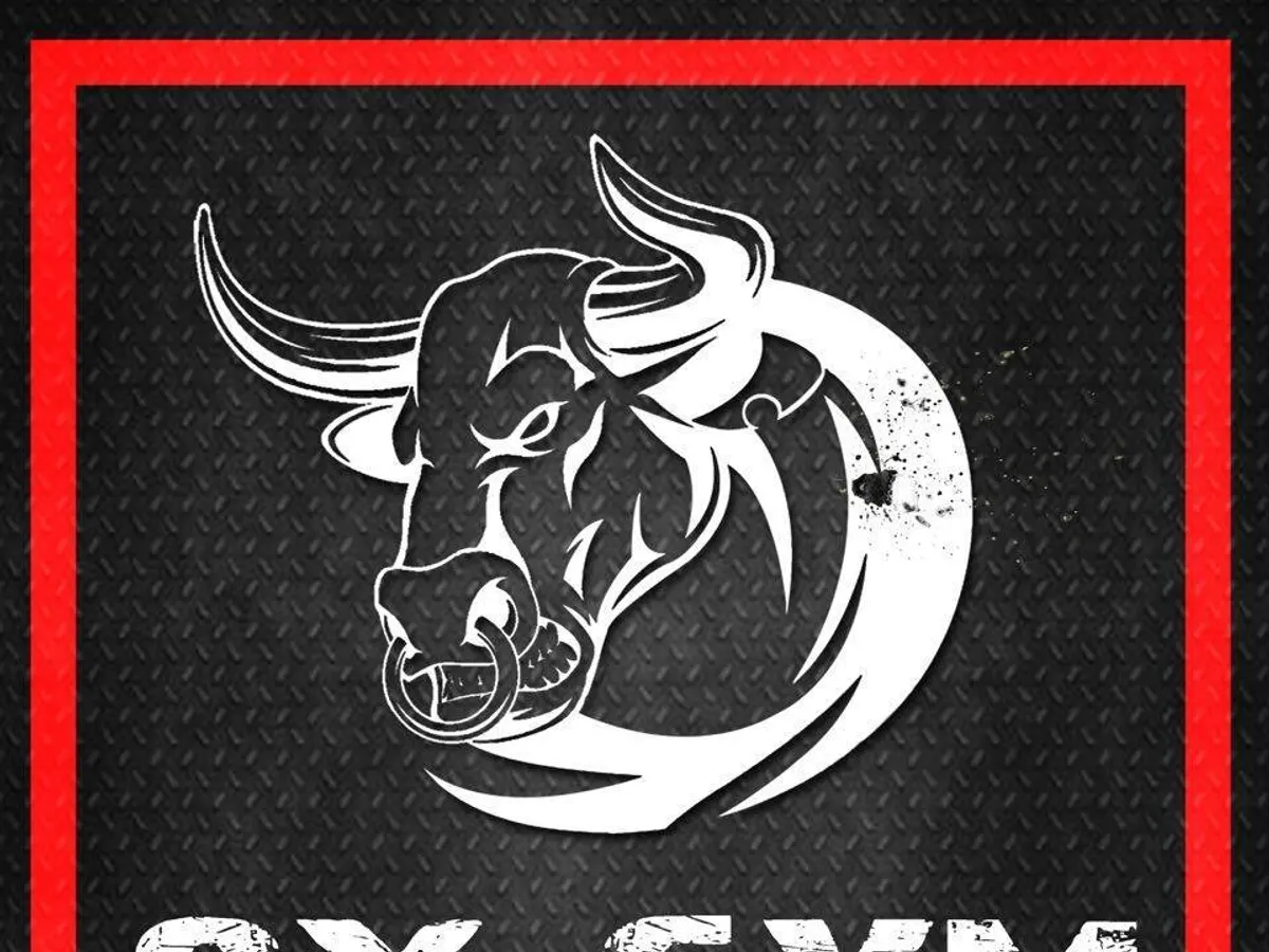 Ox Gym in Chiang Mai