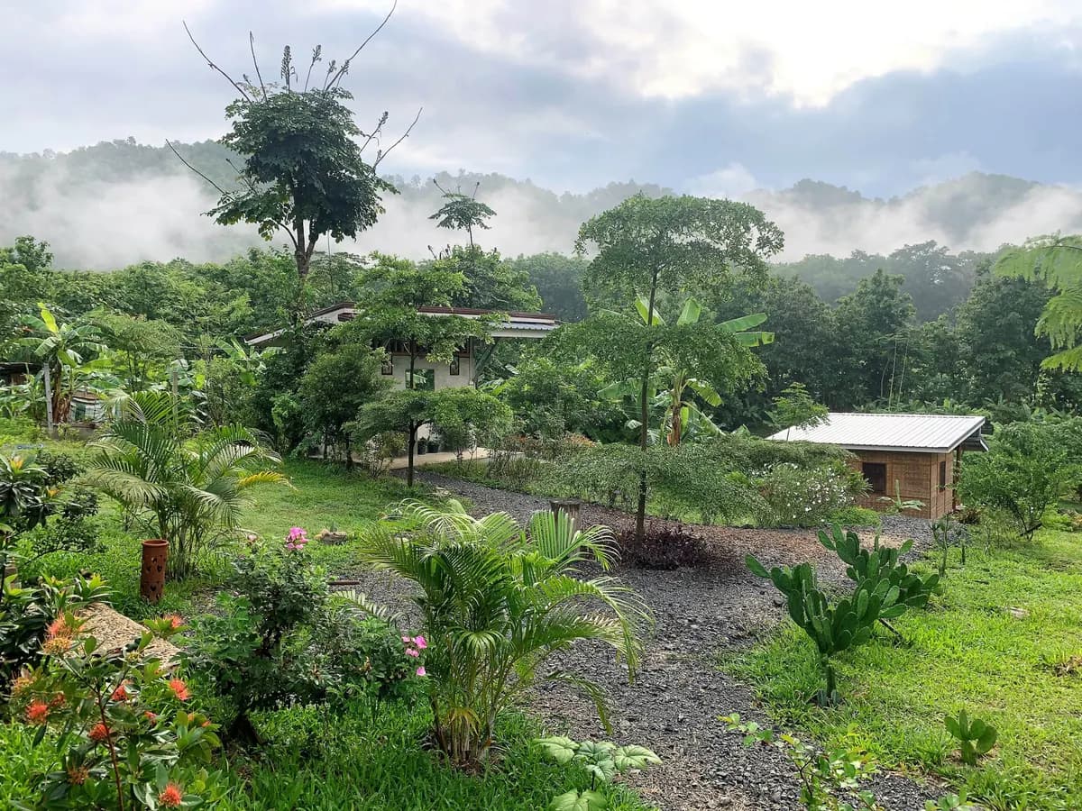 True Nature Chiang Mai - Yoga & Meditation Home Stay Retreat in Chiang Mai
