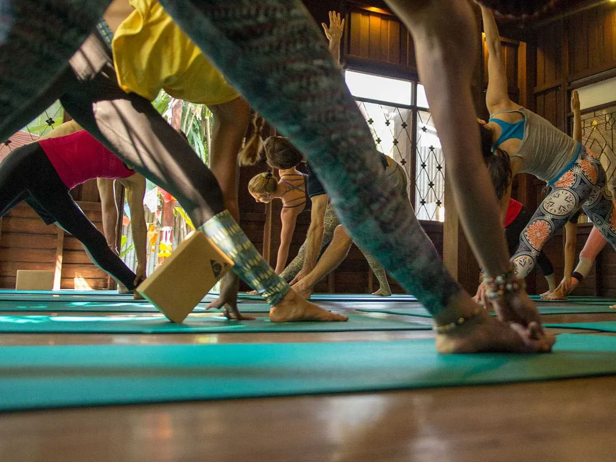 Wild Rose Yoga in Chiang Mai