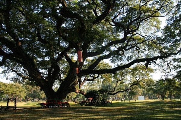 Chiang Mai Gymkhana Golf & Sports Club