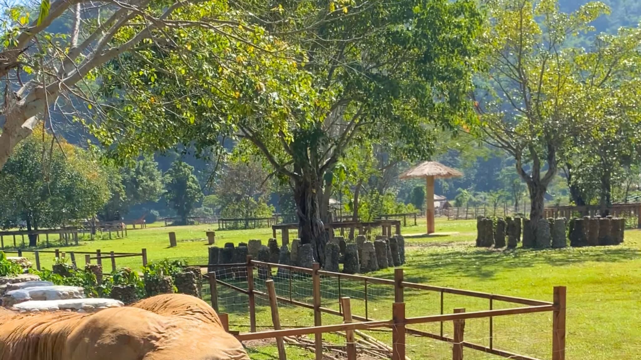 A historic temple in Chiang Mai