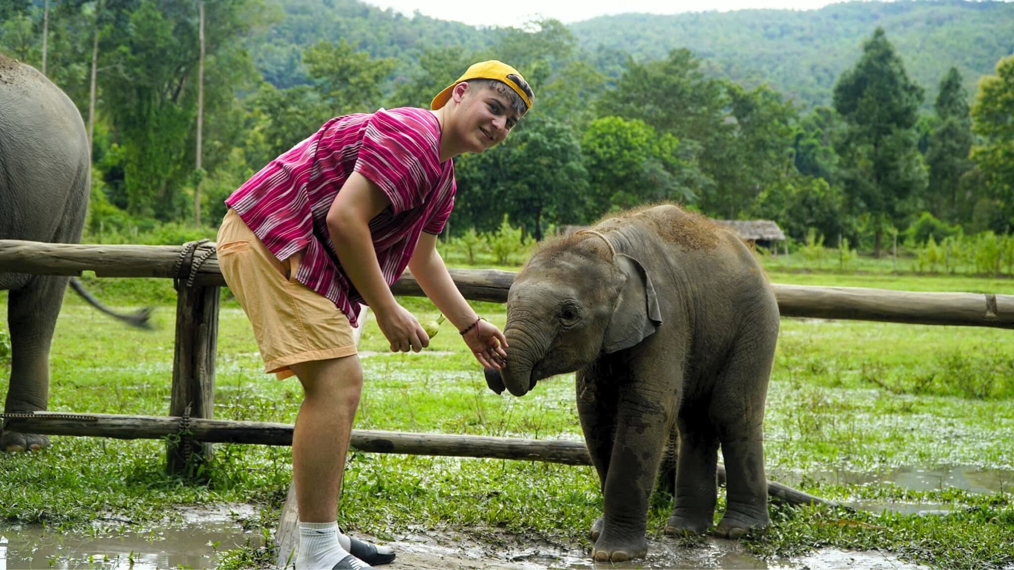 Jungle trekking in the mountains around Chiang Mai