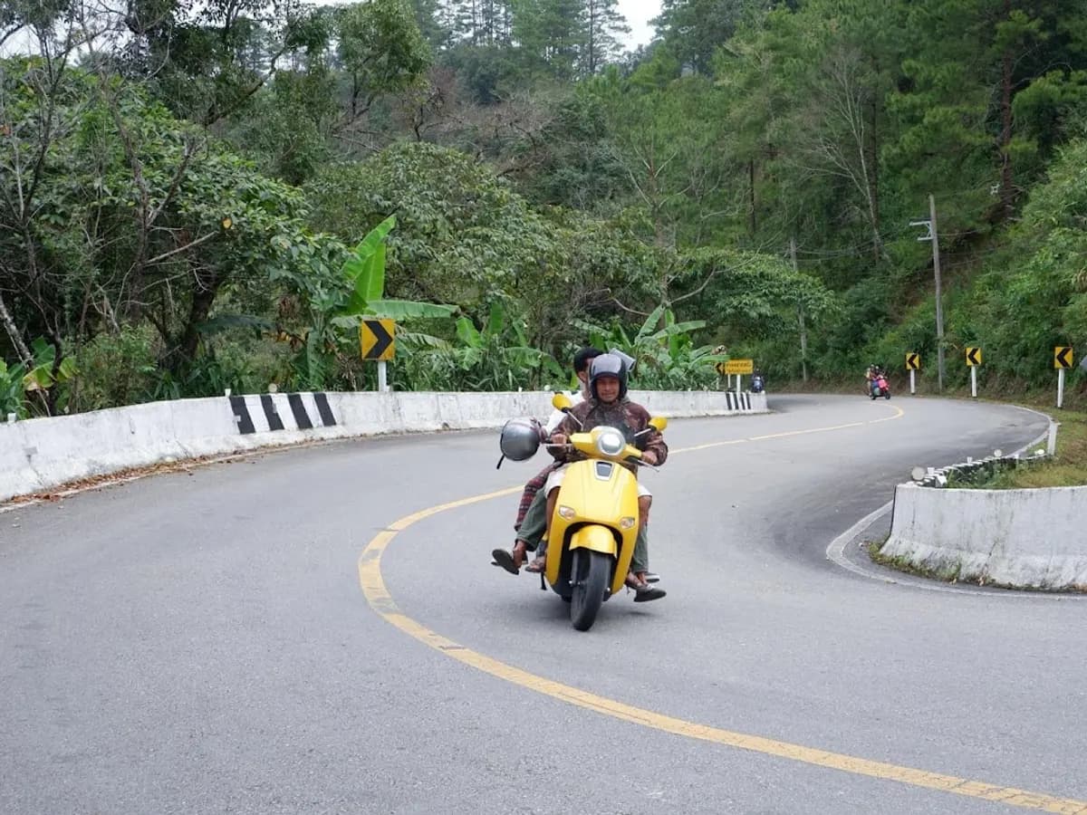 BUNNY MOTORBIKE & SCOOTER RENTAL - รถเช่าเชียงใหม่ in Chiang Mai