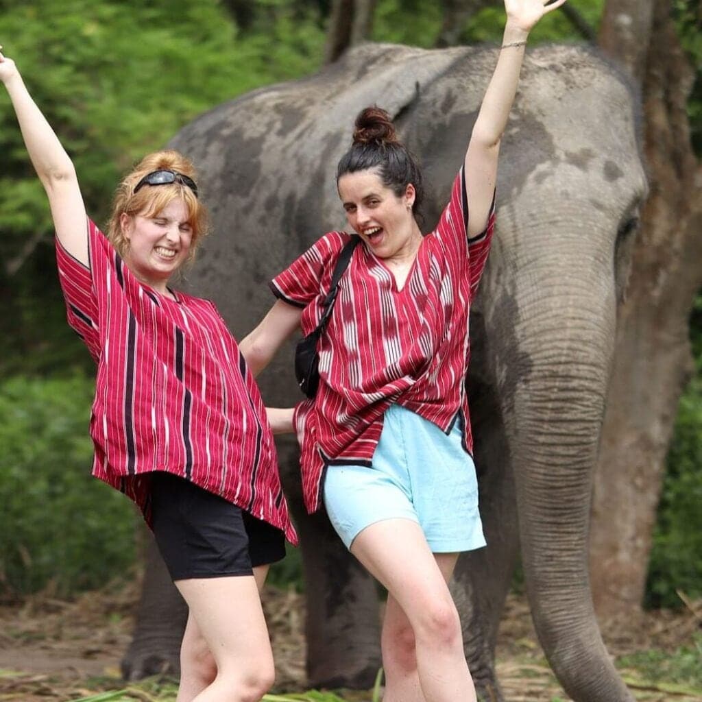 Elephants roaming at a Karen hill tribe sanctuary in Chiang Mai