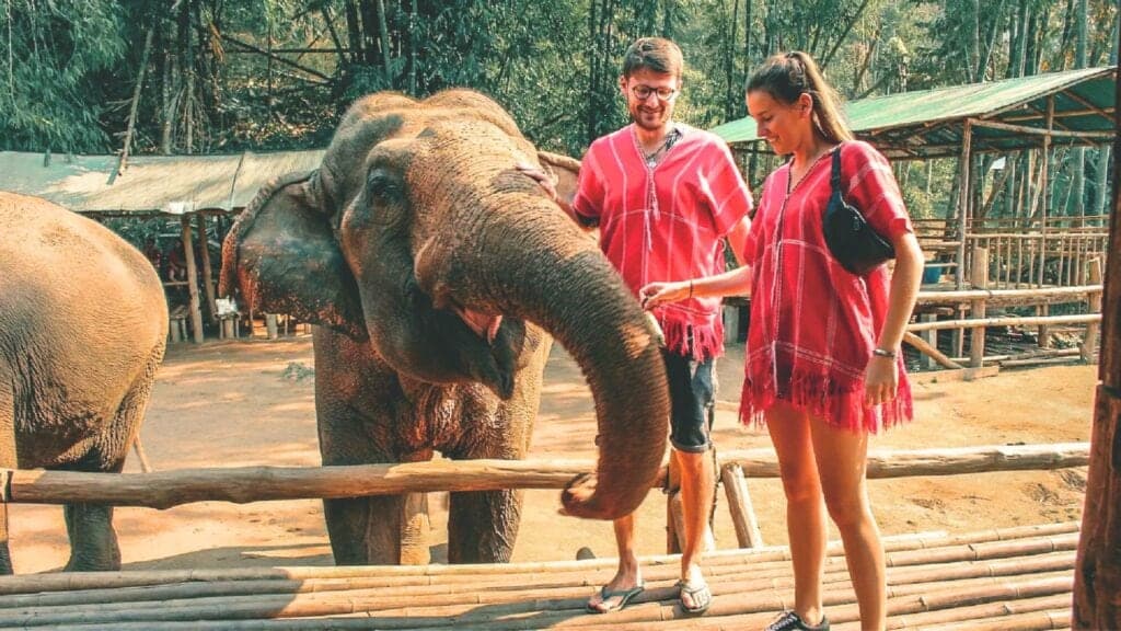 Ethical elephant sanctuary in the hills around Chiang Mai