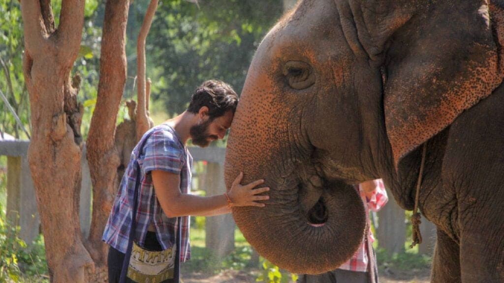 Meeting an elephant at Maerim Elephant Sanctuary, Chiang Mai