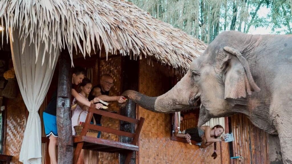 A family feeding elephants from a bamboo hut near Chiang Mai