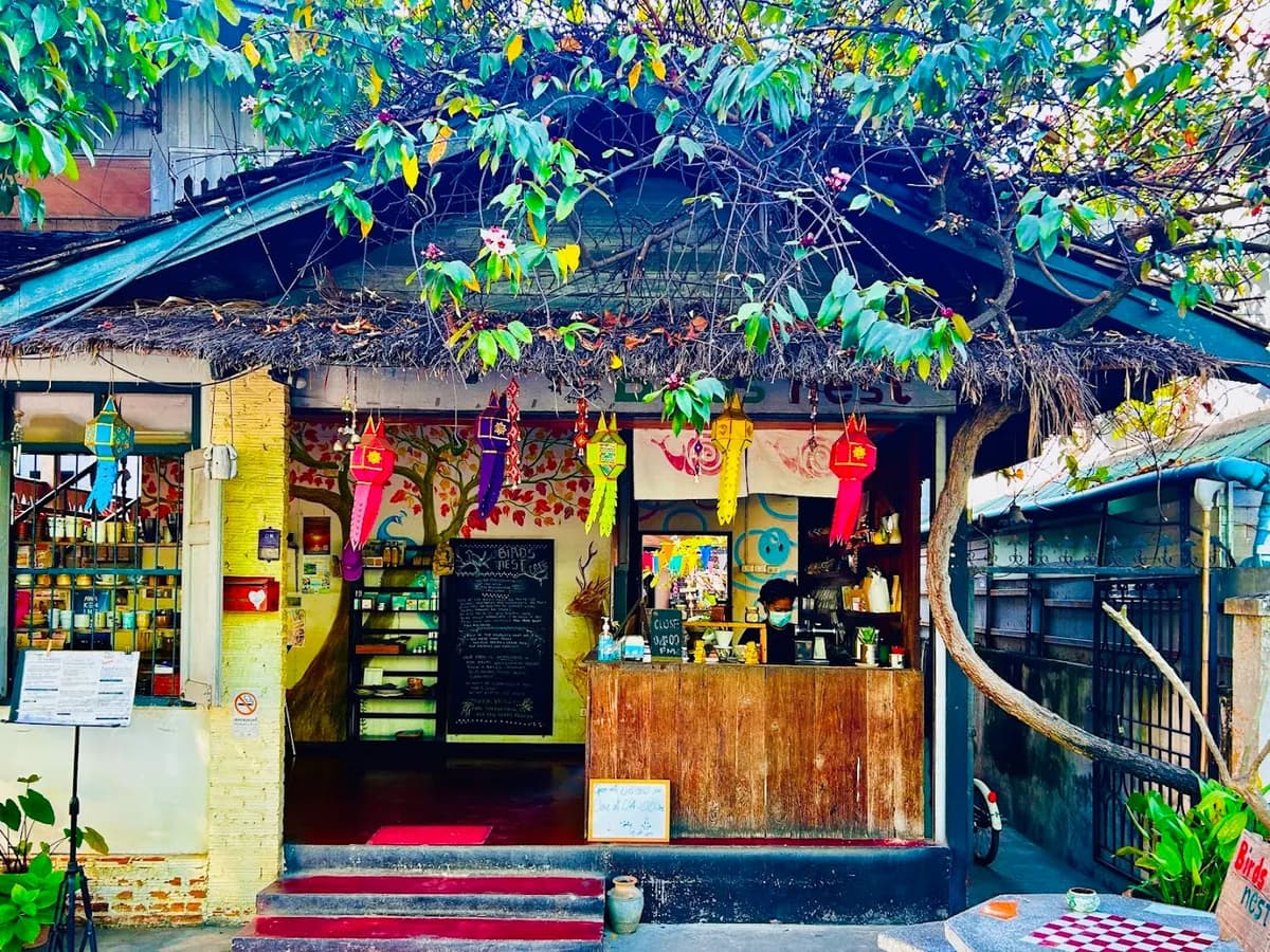 Bird's Nest Cafe in Chiang Mai
