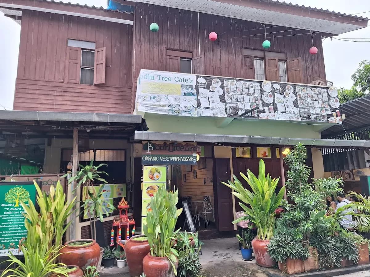 Bodhi Tree Cafe in Chiang Mai