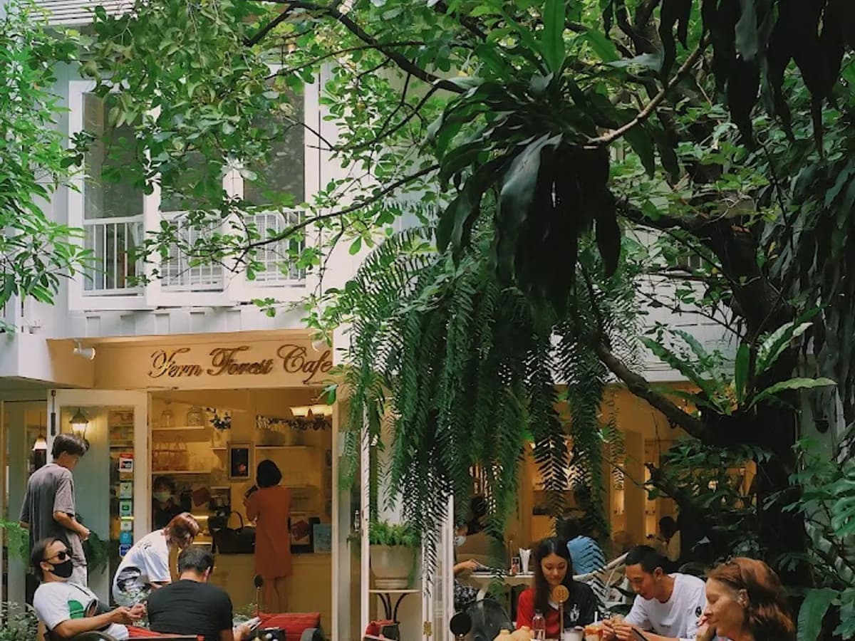 Fern Forest Cafe in Chiang Mai