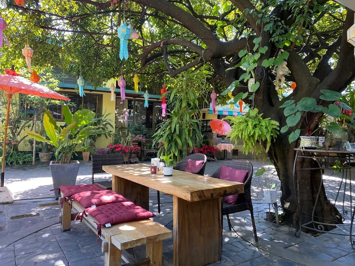 Love At First Bite in Chiang Mai