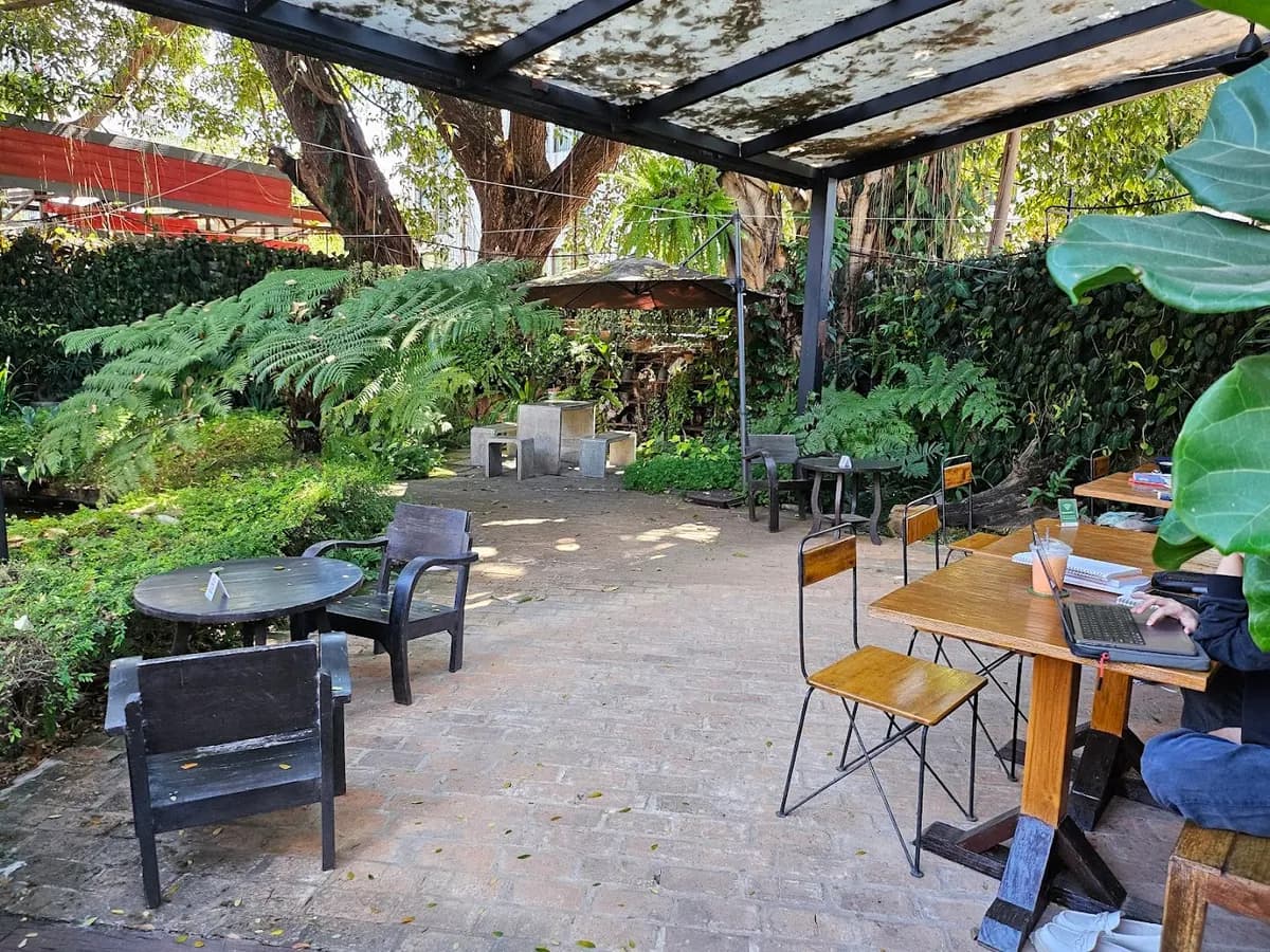 Lush Cafe & Garden in Chiang Mai