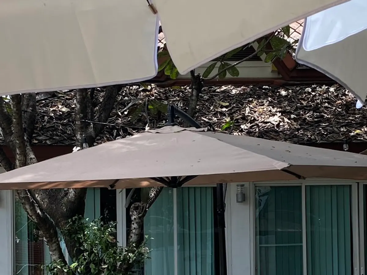Weekday Coffee&Bar in Chiang Mai