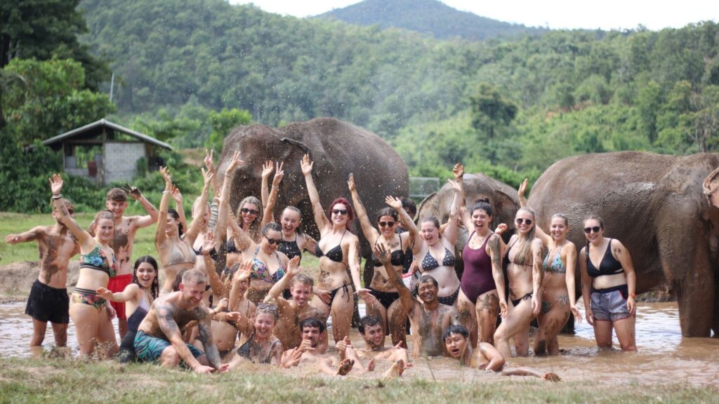 Join our fun-filled Chiangmai tour for a group mud bath with elephants, a unique and interactive Chiangmai excursion