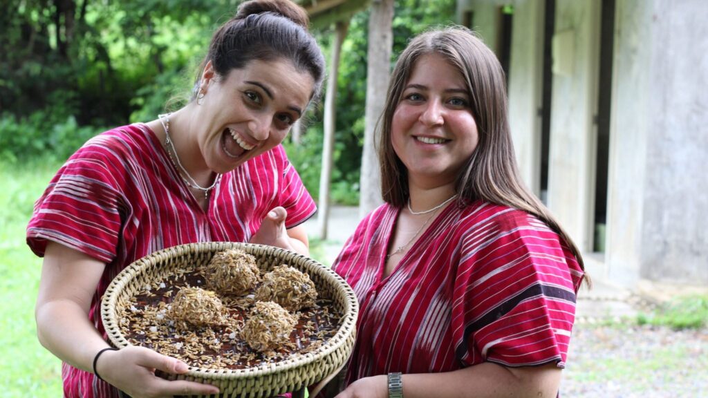 Participate in cooking classier elephants in Chiangmai tour