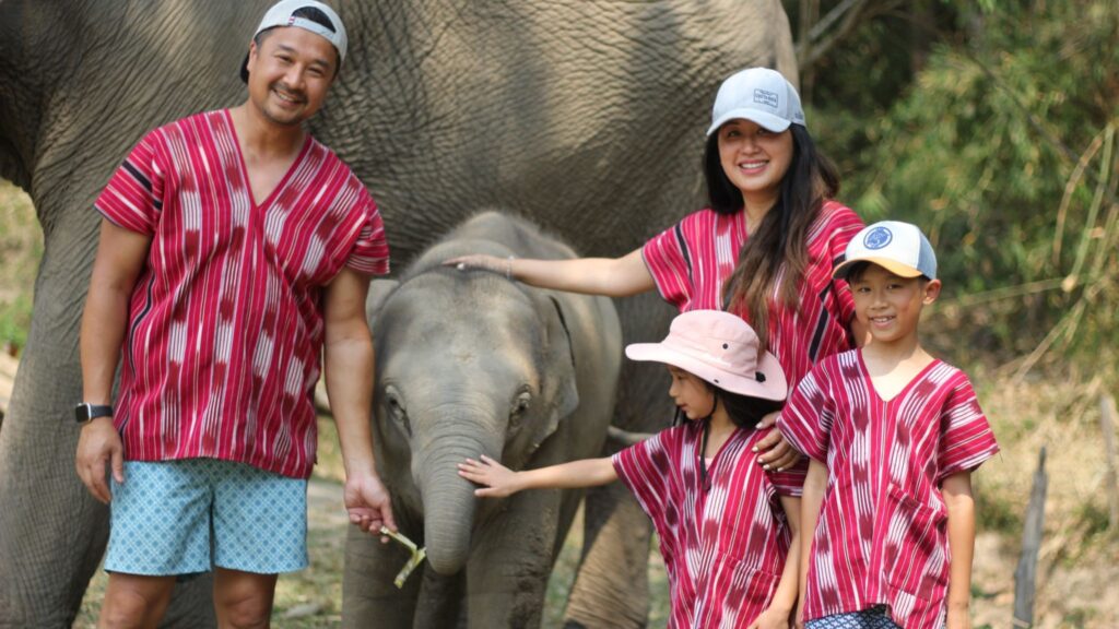 Experience family-friendly Chiangmai excursions by meeting and interacting with baby elephants on our Chiangmai tour.
