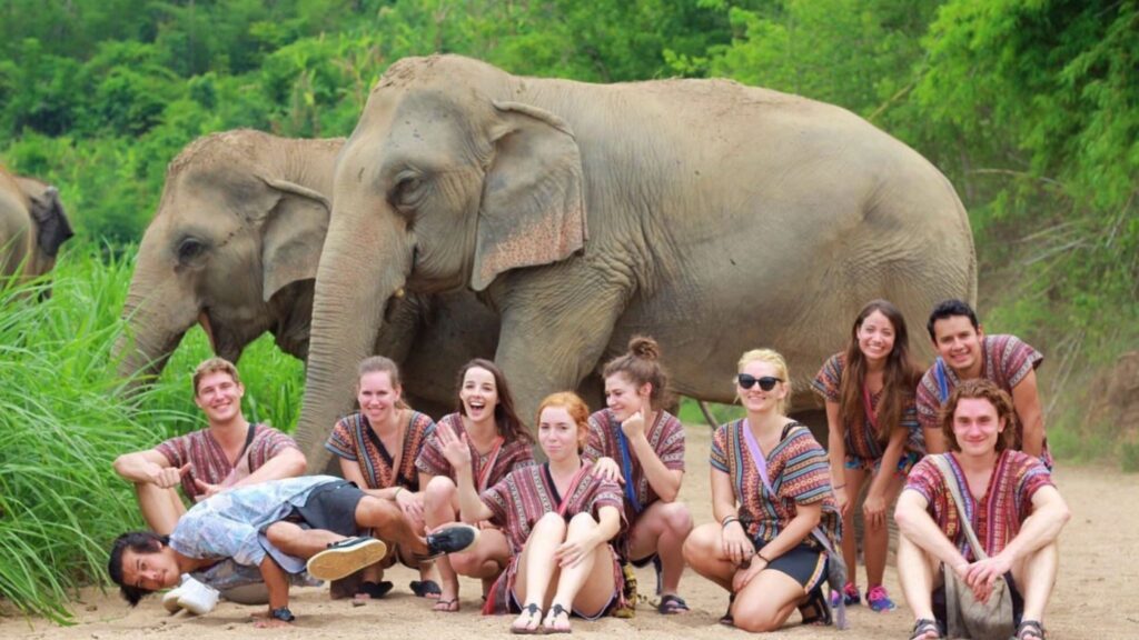 Capture memorable moments with elephants during our Chiangmai tour, one of the best group Chiangmai excursions.