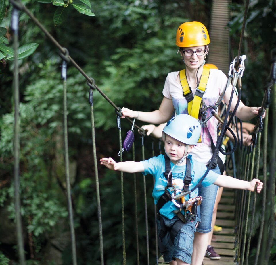 Flight of the Gibbon: Thrilling Heights and Sights
