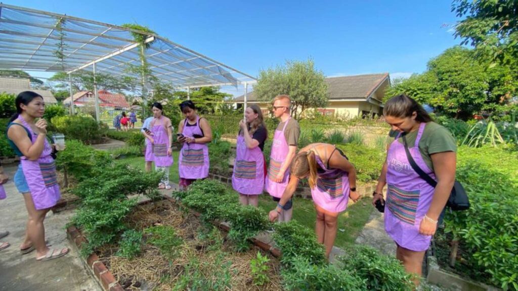 Group learning about local herbs in a garden during a Chiang Mai tour.