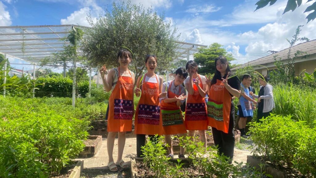 Tourists discovering local herbs during a Chiang Mai tour, enhancing their experience on Chiang Mai excursions.