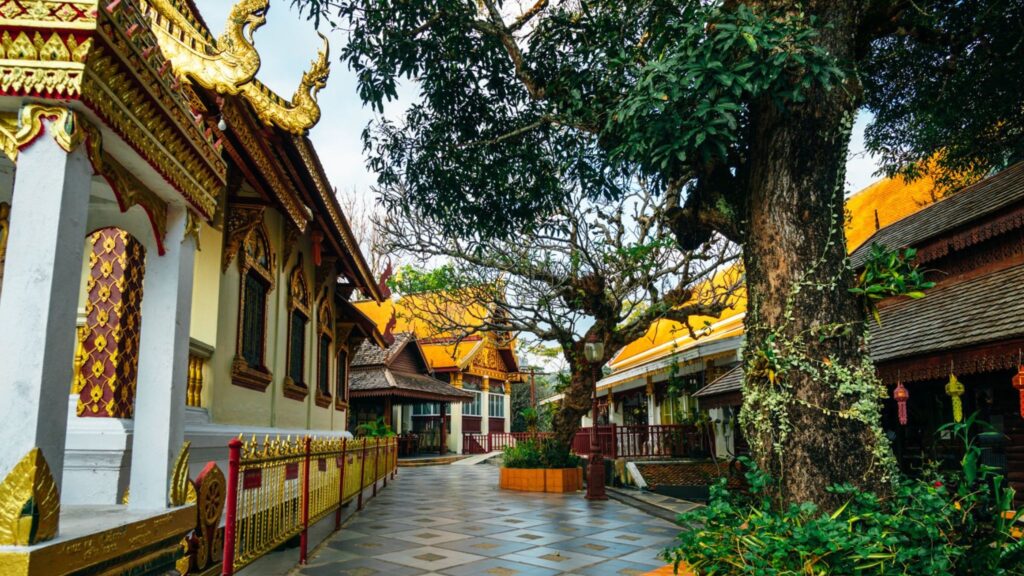 Popular for Chiang Mai excursions, offering spiritual and cultural insights at Wat Phra That Doi Suthep