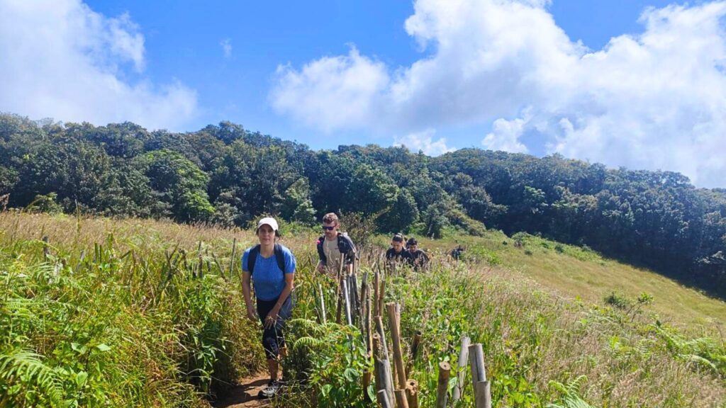 Tourist trekking along the scenic Kew Mae Pan Nature Trail in Doi Inthanon National Park.
