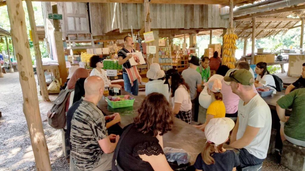 Tour Group Learning from Local Guide on the Doi Inthanon Full-Day Trekking Tour