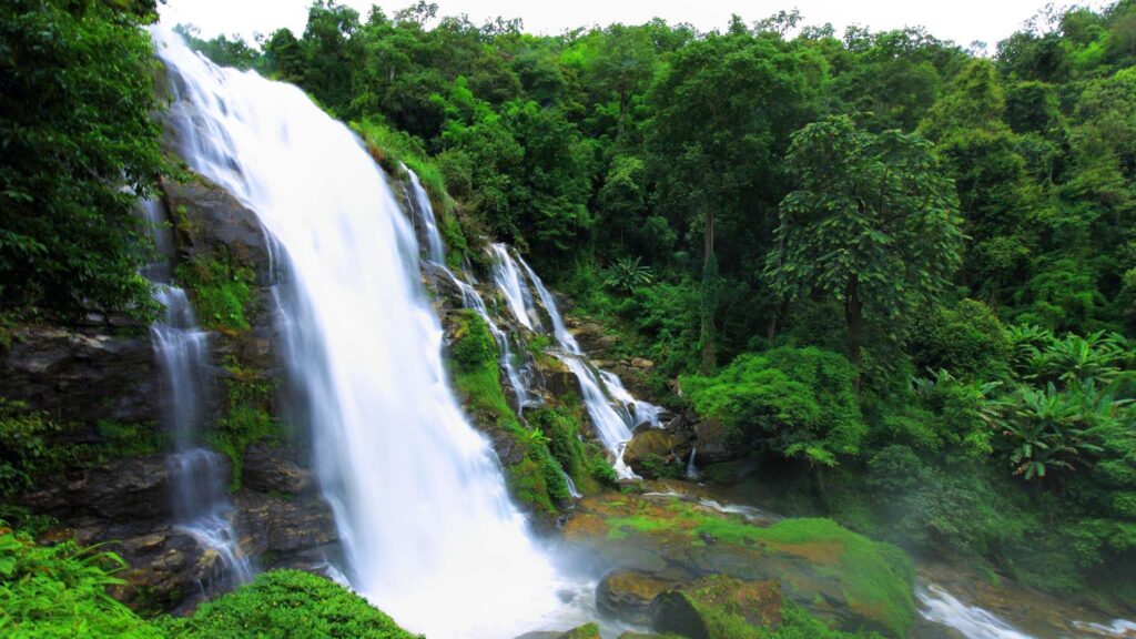 Wachirathan Waterfall with Lush Green Forest - Chiang Mai Tour Highlight