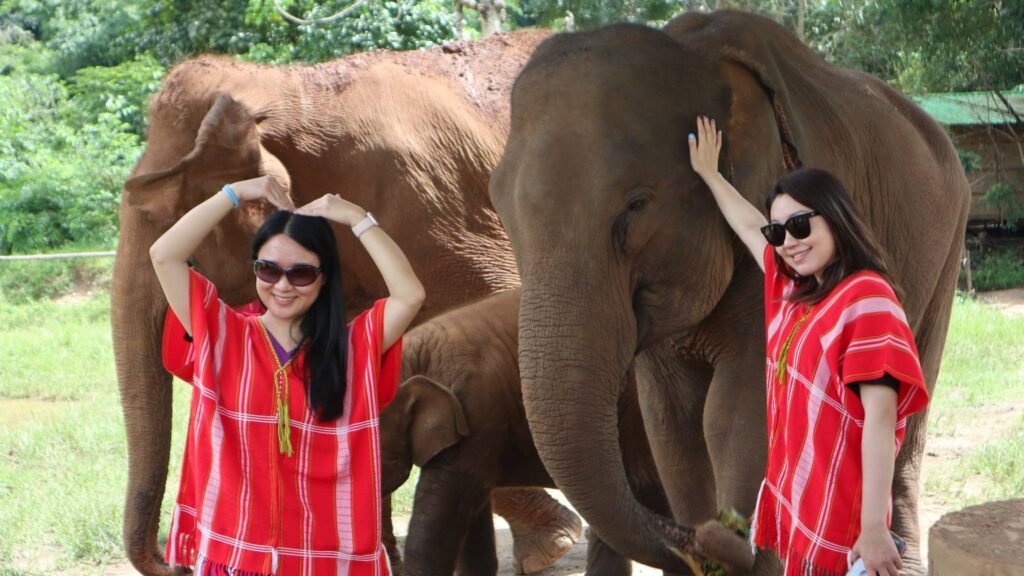 ourist having a special close encounter with an elephant on a Chiang Mai excursion
