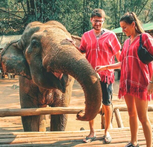 Ethical elephant sanctuary Chiang Mai tour