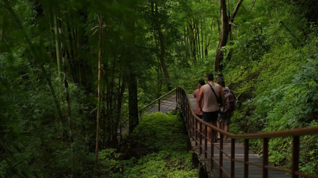 Nature trail leading to Sticky Waterfall in Chiang Mai