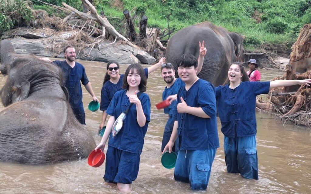 ourist bathing elephants in the river at Living Green Elephant Sanctuary during a Chiang Mai excursion