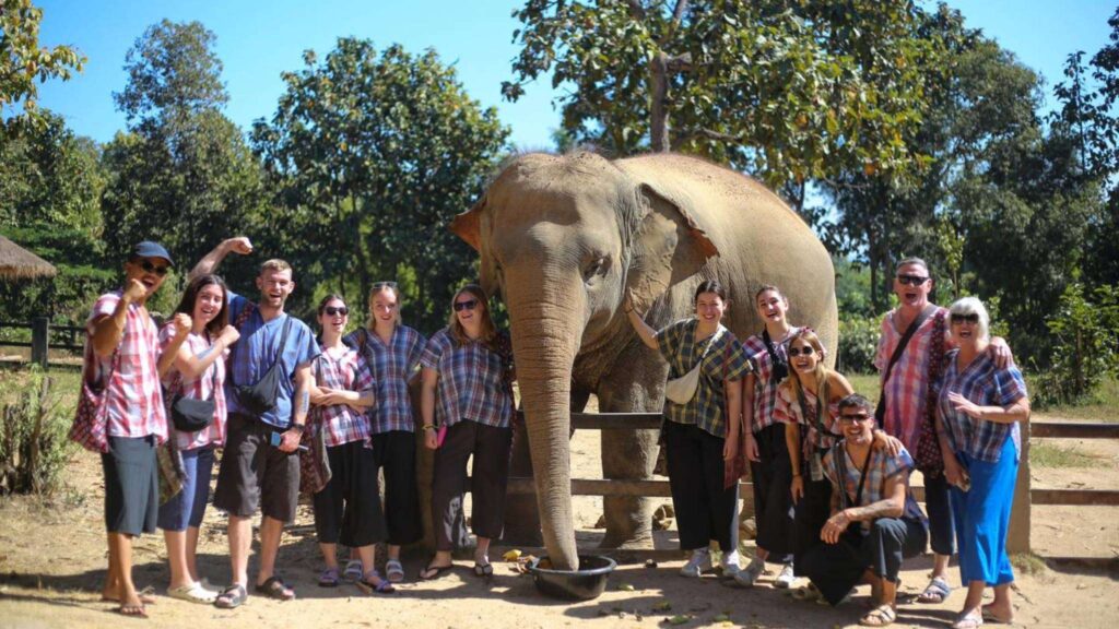 Visitors taking a photoshoot with elephants at Maerim Elephant Sanctuary during a Chiang Mai ethical elephant experience tour