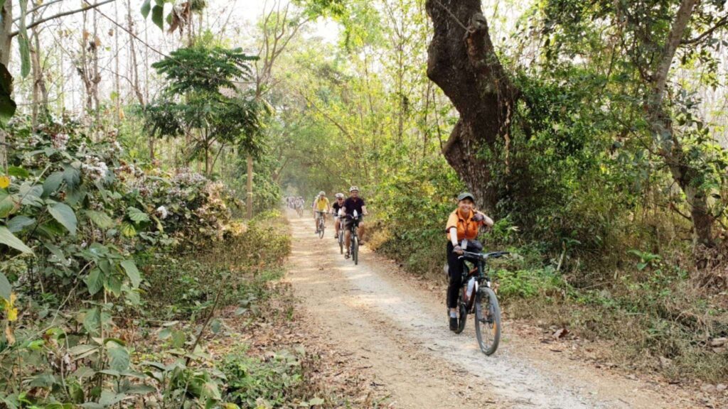 Tourists enjoying a cycling adventure on a Chiang Mai tour, pedaling through quiet rural roads and breathtaking scenery.