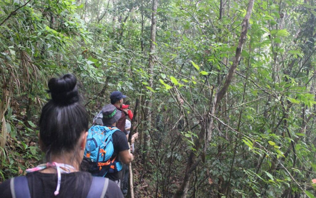 Traveler trekking through the lush forest in Chiang Mai, surrounded by nature on an exciting excursion