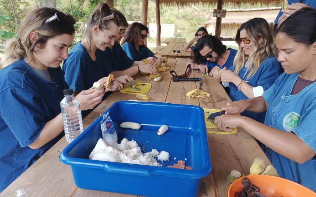 Group of visitors making elephant food during a Chiang Mai excursion