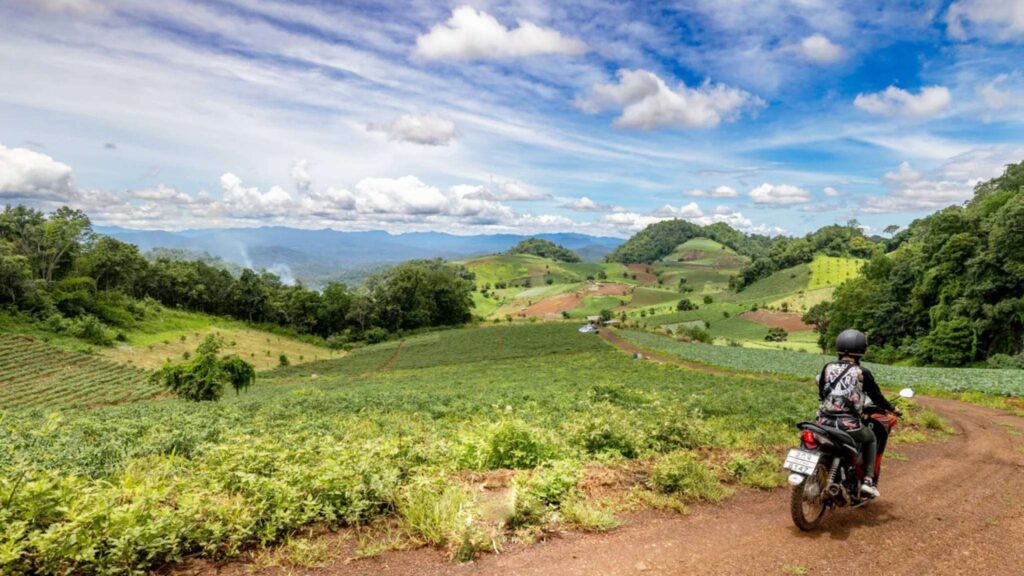 A tourist riding a scooter along a dirt road with a backdrop of lush rice fields and a clear blue sky during a Chiang Mai Scooter Adventure River Cruise tour on a sunny day.