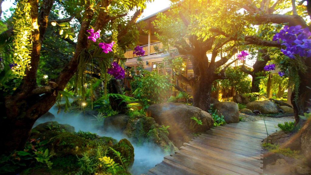 Relaxing at Lalitta Café in Chiang Rai, perfect for a peaceful break during your Chiang Mai to Chiang Rai day tour.