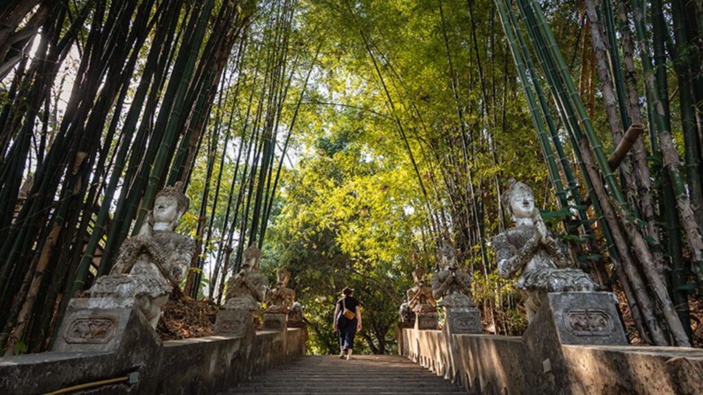 Wat Pha Lat Chiang Mai jungle temple tour – hidden forest monastery view