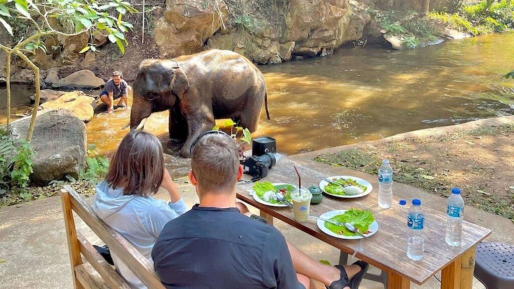 A couple enjoying lunch while watching an elephant in the river during the Chiang Mai Scooter Adventure River Cruise tour.