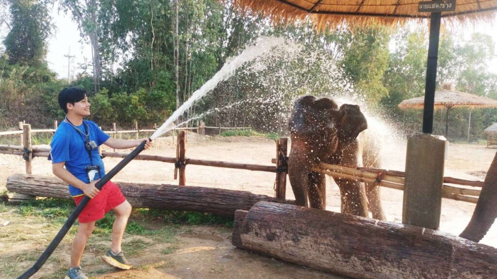 Staff watering elephants as they bathe at the camp during the Chiang Mai Scooter Adventure River Cruise tour.